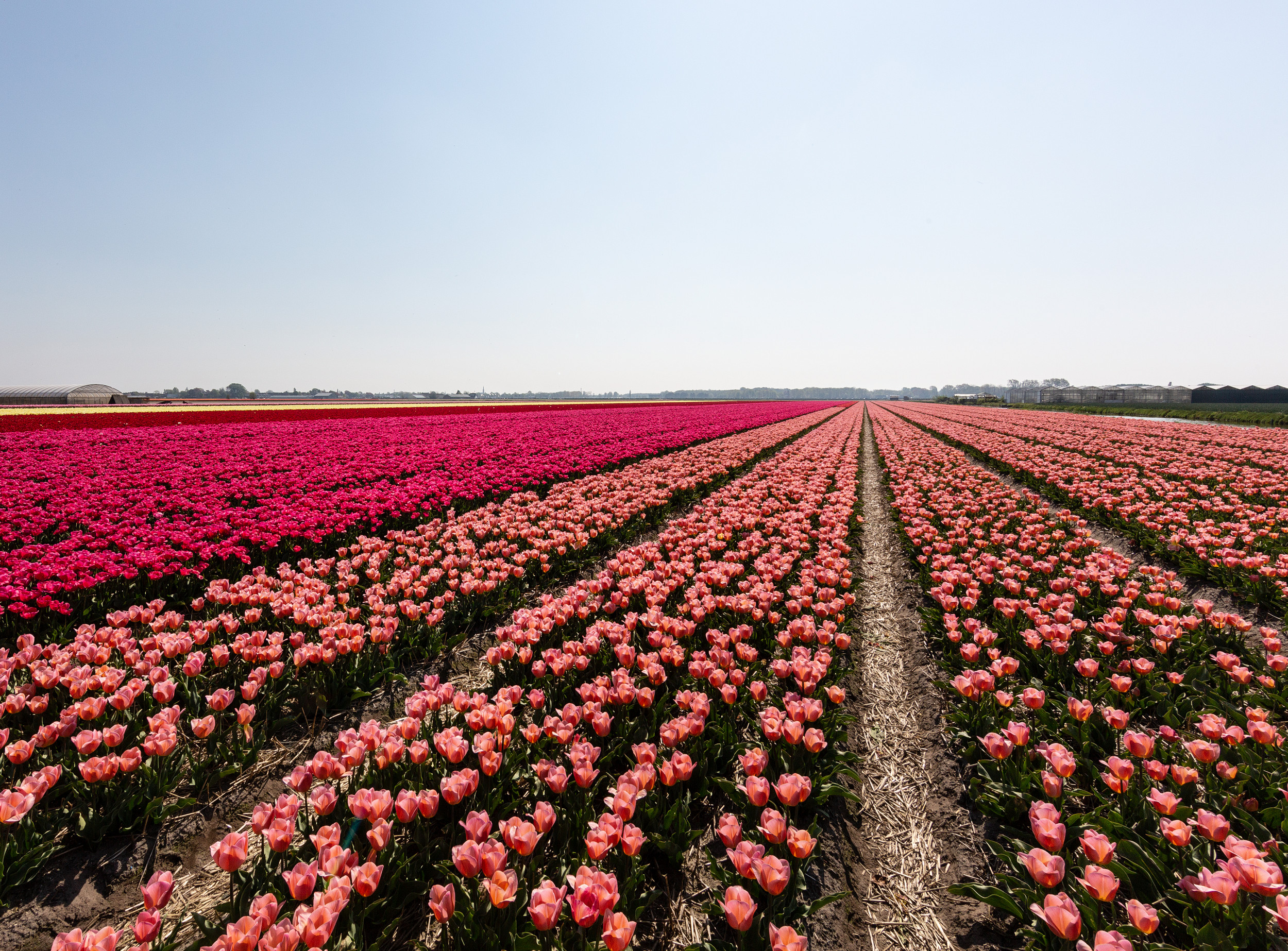 Financial and work-related changes for expats in the Netherlands in 2023